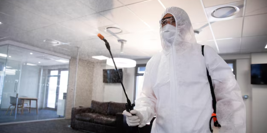 Сколько на самом деле стоит дератизация склада: из чего складывается цена и почему «дешёво» — это опасно